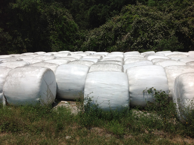 shrink-wrapped-grass-feed